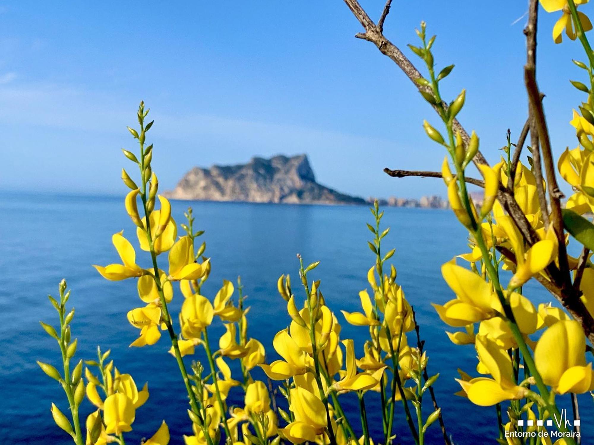 Vh Costablanca - Apartamento Riviera Moraira Eksteriør bilde